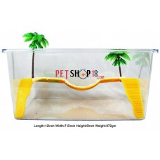 Turtle Land Tray With Palm Trees